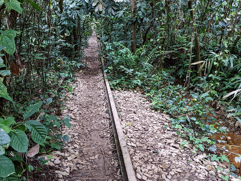 clementi-forest-railway-tracks