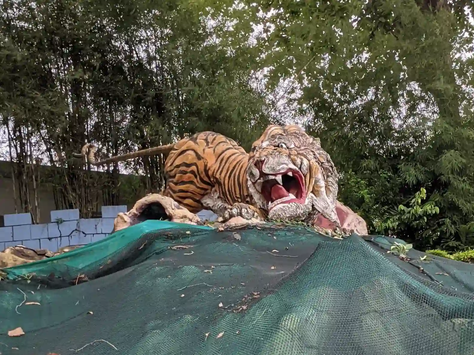 ハウパーヴィラの虎の像